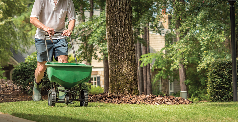 Man fertilizing lawn with spreader.