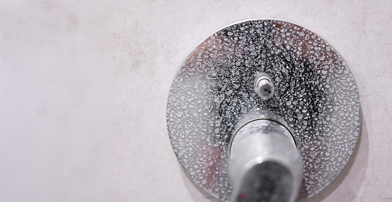 Scale Buildup on a Shower
