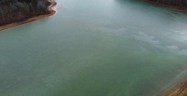 Algae Bloom in lake water